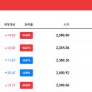 (주)자이엔트 이미지