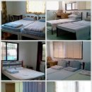 모모하우스 이미지