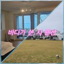 바다가쓴시 | [태안 강아지 동반 숙소 추천] &#34;바다가 쓴 시 펜션&#34; 솔직후기♥