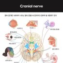 덕산한의원 이미지
