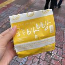 일신장여관 | 군산 뚜벅이 고군산군도 여행-21.10.9> 장자도 대장봉 등산/카페 라파르/무녀도 갈매기/초원사진관/도란