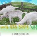 신우목장 | 신우목장 체험후기ㅡ