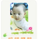 차우차이 이미지