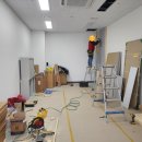 댕데이지 이미지