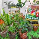 유명산업사