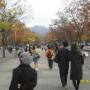 과천 서울대공원에서 가을을 만끽하다 이미지