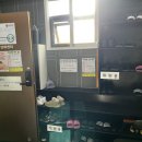 밝은세상안마원 감삼역점 | [대구 서구] 감삼역 안마 잘하는 곳, 밝은세상안마원 솔직 후기!