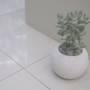 스튜디오콩테 이미지