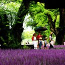 대황교차로 이미지