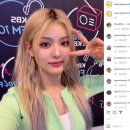 스테이상아 이미지