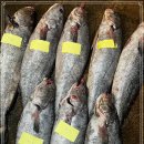 3월 15일(수) 목포는항구다 생선카페 판매생선[ 민어 ( 3kg 초중반대 ) , 홍어(국내산) ] 이미지