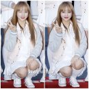 윙크 스타뉴스