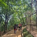 국대오리 - 종로구 종로 19 | 국대오리