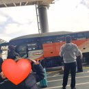 푸드씨 | 도쿄 디즈니씨 다녀온 후기/엘사어트렉션 생각보다 무서워요ㅋㅋ/디즈니씨 푸드코트 정보 후기