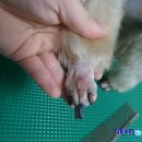 마린동물병원 이미지