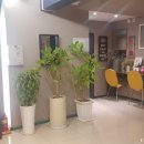 케렌시아사우나 이미지