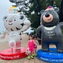 청호 갯배 | 놀거리 총정리 1 #속초해변(주차+맛집+카페+포토존) #속초아이대관람차 #영금정 #아바이 마을 갯배체험