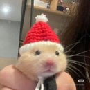 (주)제때