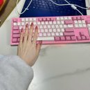 오렌지브릭 | 데싱디바 매직프레스 브릭오렌지 후기｜사무실에서도 튀지 않는 오렌지네일, 코핀쉐입이라 손이 예뻐...