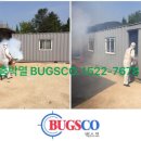 벅스코(BUGSCO)