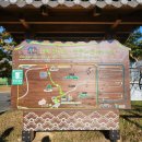 경천 체육공원 | 완주 반려견 산책 명소 - 경천편백숲과 눈치보지마시개길