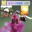 김정조