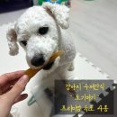 도기머기 이미지