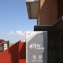 학암포 해당화 | [충북 태안] 신두리 해안사구 탐방로(2020)
