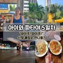 소위야버양꼬치포차 | 아이와 파타야 여행 5일차 : 댕담식당 아침 맥주부터 "와이프! 와이프!" 신랑 붙잡는 언니들? 트리타운...