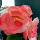 (주)지엔히어링코리아 이미지