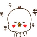 디쓰리 이미지