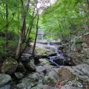 국립운문산자연휴양림야영장 이미지