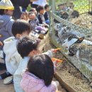 세화 어린이집 이미지