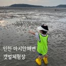 인천의 갯벌 이야기 | 인천 영종도 마시안해변 갯벌체험장 조개캐기 아이랑 당일치기