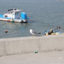 갈매기농장 이미지