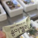 양양 해오름 펜션 이미지