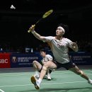 배드민턴 이미지