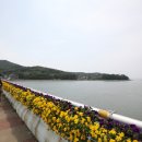 신도농업협동조합 이미지