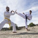 태권도연구방법 이미지