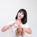 꽃개 이미지