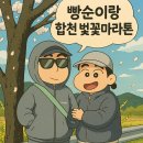 합천공설운동장 육상경기장 | 경남 지방 합천벚꽃마라톤대회 하프 PB후기
