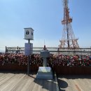 요리하는카페 이미지