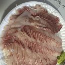 용인 가성비 횟집 활주로수산 포장 후기