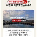 기쁨마트 | 12월 제철음식 대방어 맛집 롯데마트 제타 대방어회 집에서 즐기는 프로모션 후기