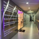 핏더라운지 | 송도PT 송도헬스장 핏더라운지 후기