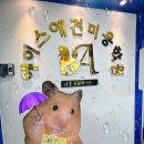 에이스학원 이미지