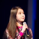 하이미스터 이미지