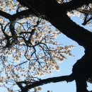 와룡주차장 이미지