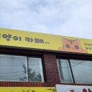 CCTV | 안산 월피동 고양이카페 CCTV 위치 변경 설치 후기