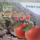 봄뫼 네이버블로그
